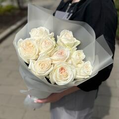Пионовидные белые розы 9 штук сорта White Ohara