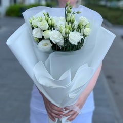 Эустома 5 штук
