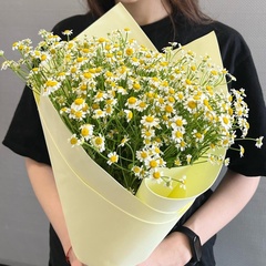 Букет из ромашек