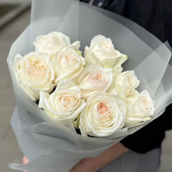 Пионовидные белые розы 9 штук сорта White Ohara фото №2