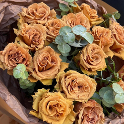 Букет из эквадорских роз Тоффи (Toffee) в упаковке шоколадного цвета