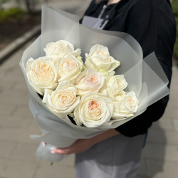Пионовидные белые розы 9 штук сорта White Ohara фото №1