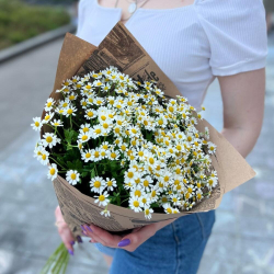 Ромашки в крафте
