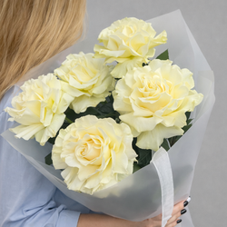 Монобукет из эквадорских белых французских роз 5 штук - РИМСКАЯ РОЗА фото №3