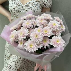 Букет из розовых кустовых хризантем в пленке фото №1