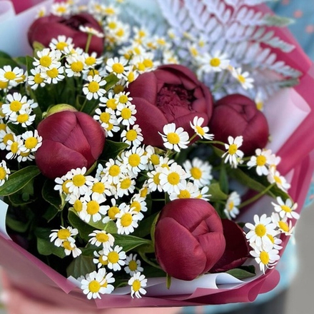 Букет из бордовых пионов и кустовой ромашки
