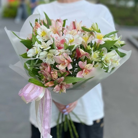 Букет из альстромерий 11 штук в матовой упаковке