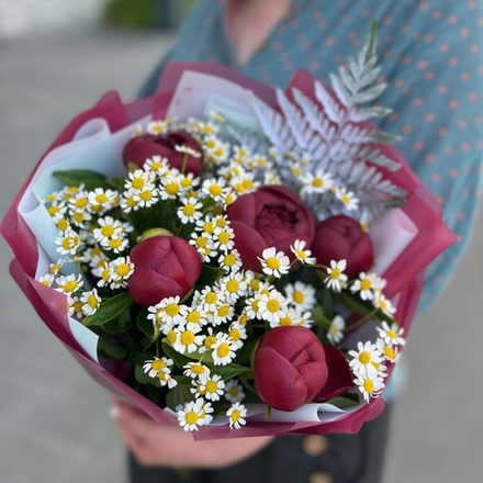 Букет из бордовых пионов и кустовой ромашки