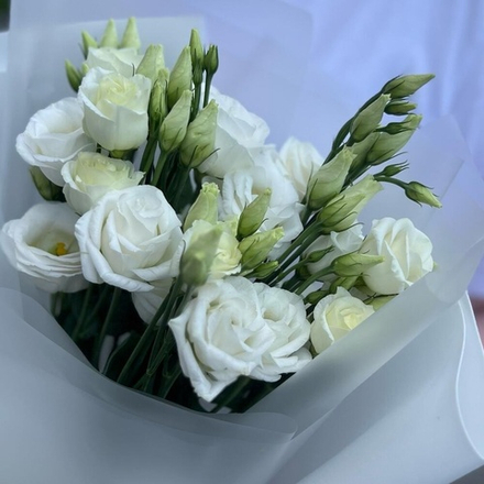 Эустома 5 штук