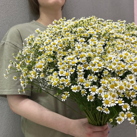 Букет из ромашек кустовых