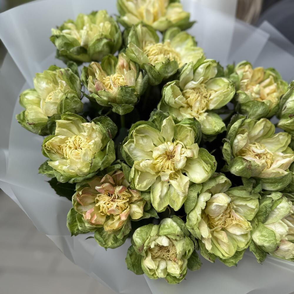 Букет из пионовидных роз Veggie (Вегги) 15 штук фото №5