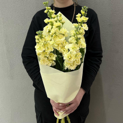 Букет из маттиолы