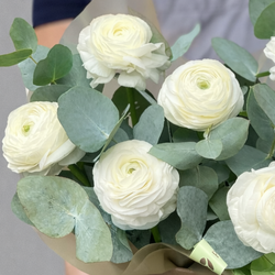 Нежные ранункулюсы с эвкалиптом в коробке - РИМСКАЯ РОЗА фото №3