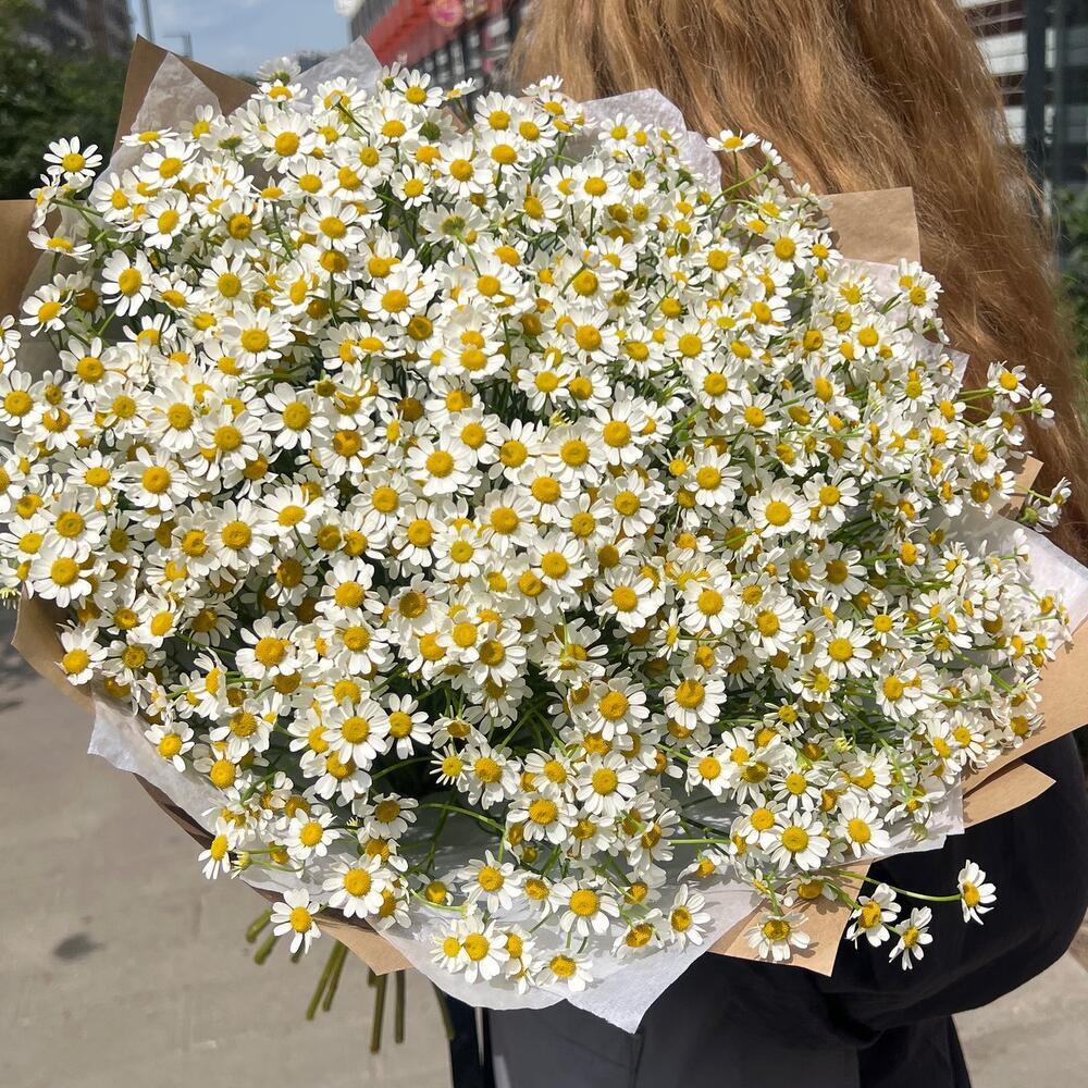 Большой букет из ромашек в крафте РИМСКАЯ РОЗА фото №4