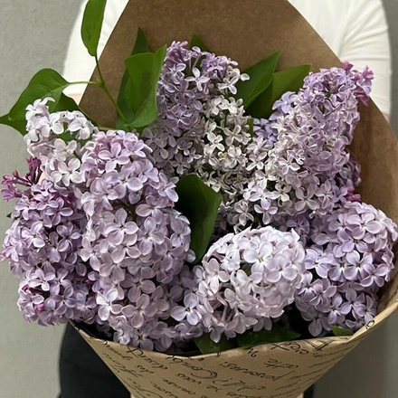 Сирень 3 ветки в крафте