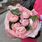 Букет из розовых ранункулюсов с эвкалиптом 9 штук