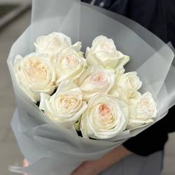 Пионовидные белые розы 9 штук сорта White Ohara фото №2