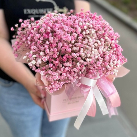 Розовая гипсофила в коробке