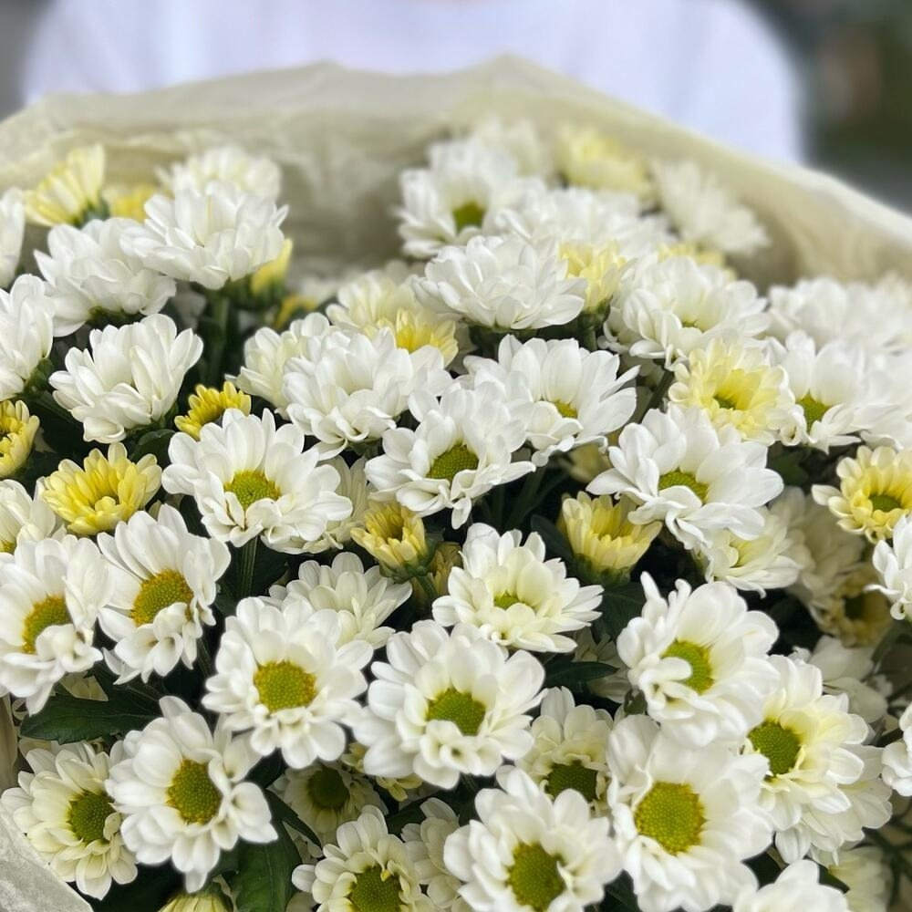 Букет из ромашковых кустовых хризантем в крафте фото №4