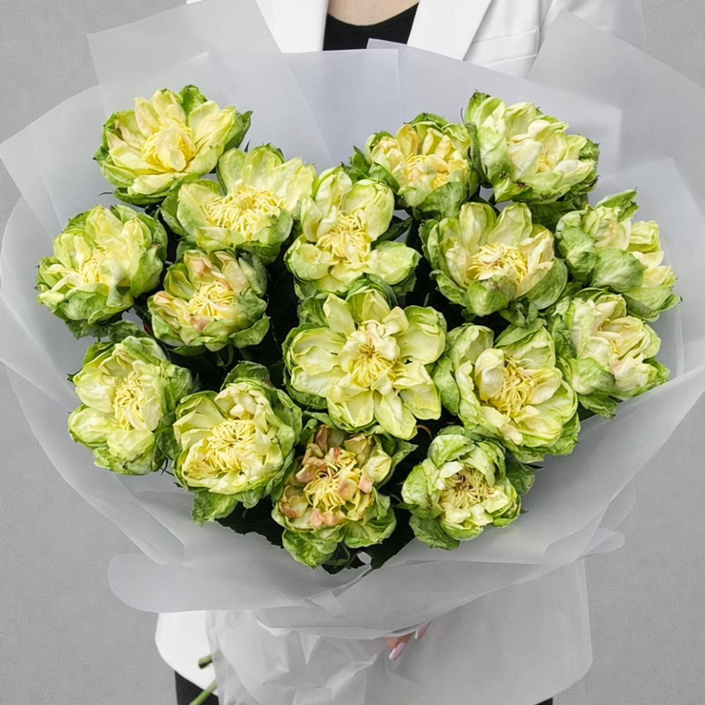 Букет из пионовидных роз Veggie (Вегги) 15 штук - РИМСКАЯ РОЗА фото №3