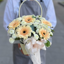 Композиция из кремовых гербер и хризантем сантини в сумочке - РИМСКАЯ РОЗА фото №2