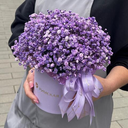 Композиция из лавандовой гипсофилы в круглой коробке