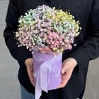 Гипсофиле в коробке