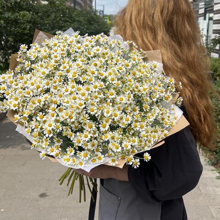 Большой букет из ромашек в крафте