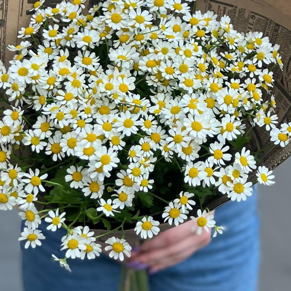 Ромашки в крафте