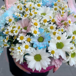 Корзина с ромашками и ромашковой хризантемой