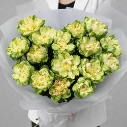 Букет из пионовидных роз Veggie (Вегги) 15 штук - РИМСКАЯ РОЗА фото №3