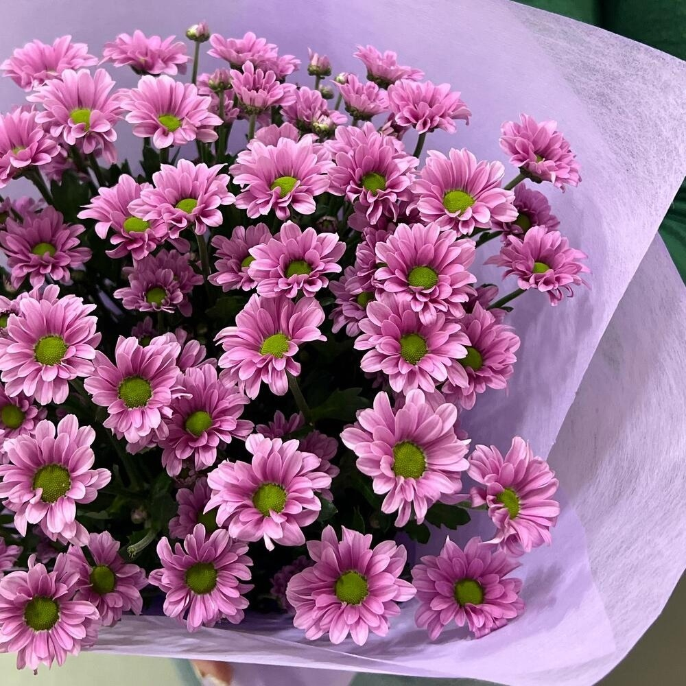 Букет из ромашковых хризантем