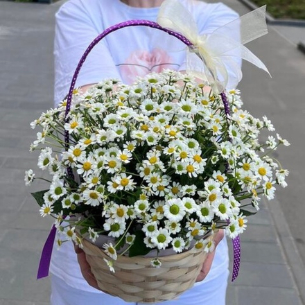 Корзиночка с ромашками и ромашковым сантини