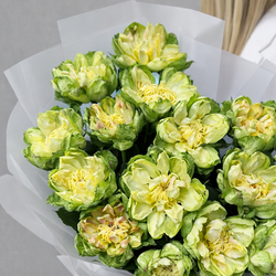 Букет из пионовидных роз Veggie (Вегги) 15 штук - РИМСКАЯ РОЗА фото №4