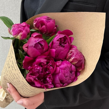 Пионы 7 штук