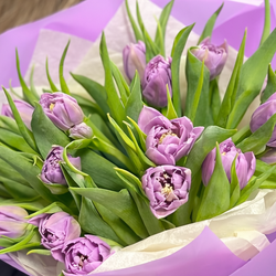 Монобукет из фиолетовых пионовидных тюльпанов 17 штук - РИМСКАЯ РОЗА фото №4