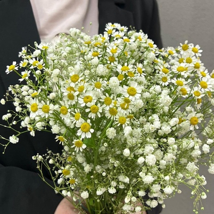 Букет из ромашек и гипсофилы