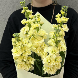 Букет из маттиолы