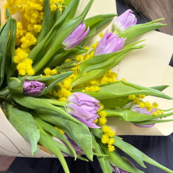 Букет из пионовидных тюльпанов и мимозы - РИМСКАЯ РОЗА фото №4