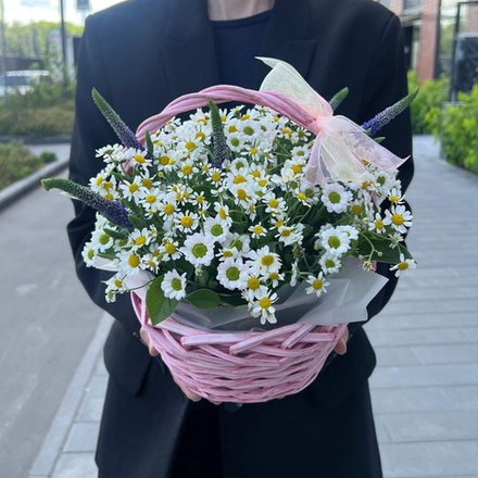 Ромашки в корзине с ромашковой сантини