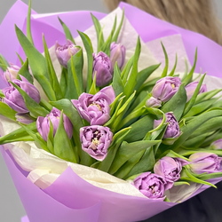 Монобукет из фиолетовых пионовидных тюльпанов 17 штук - РИМСКАЯ РОЗА фото №3