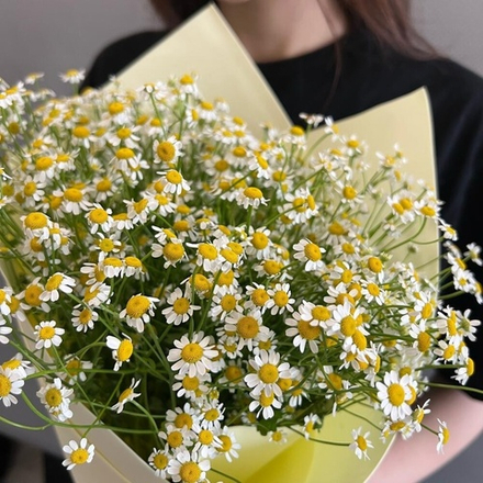 Букет из ромашек