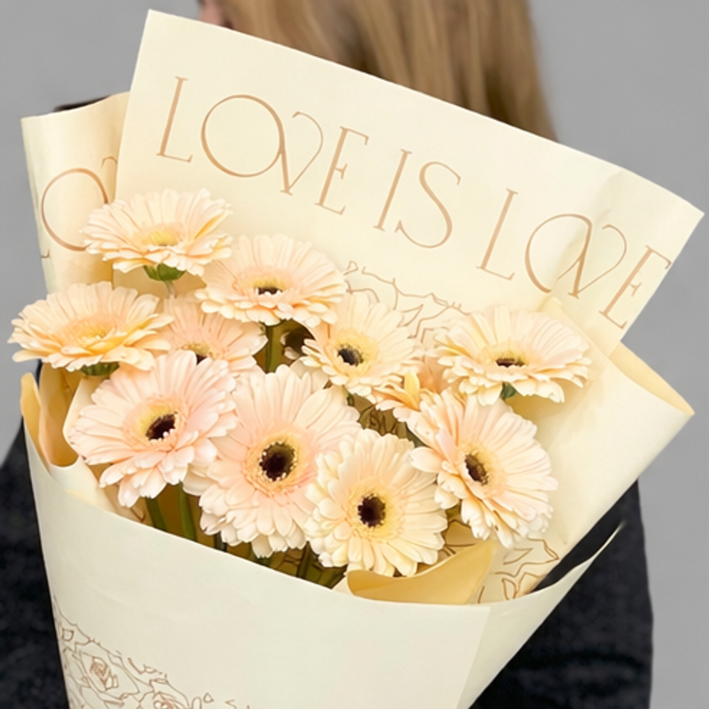 Монобукет из кремовых гербер в дизайнерской упаковке - РИМСКАЯ РОЗА фото №3