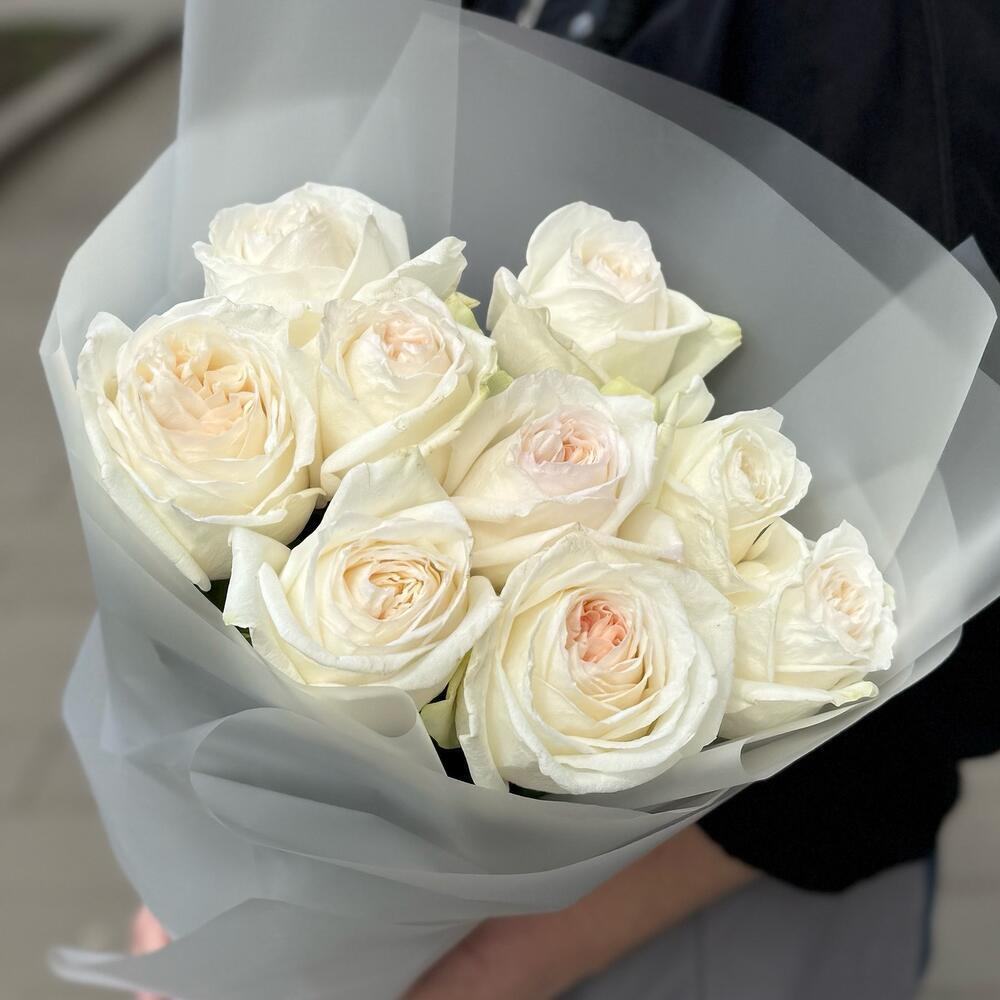 Пионовидные белые розы 9 штук сорта White Ohara фото №2