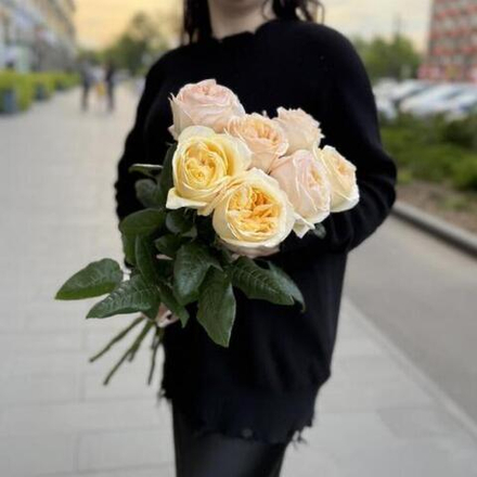 Букет из кремовых пионовидных роз Крем Экспрешн (Cream Expression), 7 штук
