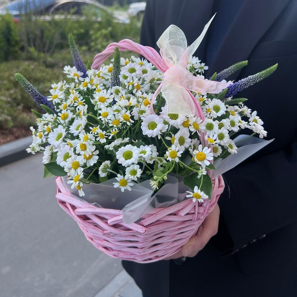 Ромашки в корзине с ромашковой сантини