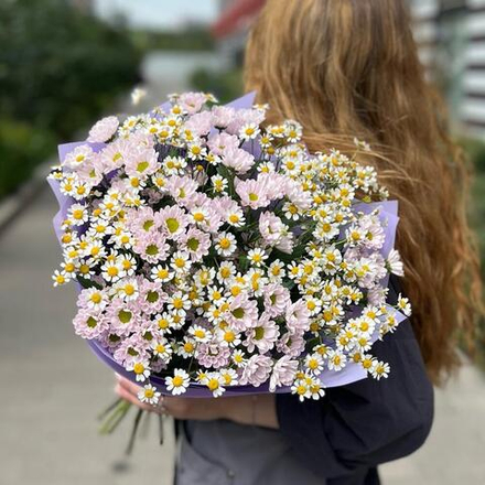 Букет из ромашек и кустовых хризантем сантини