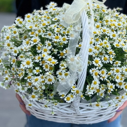 Большая корзина с полевыми ромашками - РИМСКАЯ РОЗА фото №4