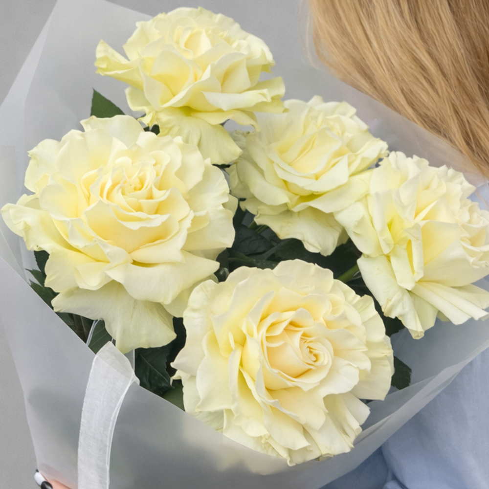 Монобукет из эквадорских белых французских роз 5 штук - РИМСКАЯ РОЗА фото №4