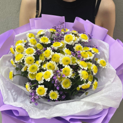 Букет из ромашковой Сантини и гипсофилы